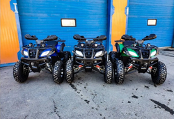 Квадроцикл Grizzly 200