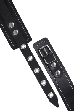 Ошейник Pecado BDSM, однослойный Pecado BDSM, узкий, натуральная кожа, черный