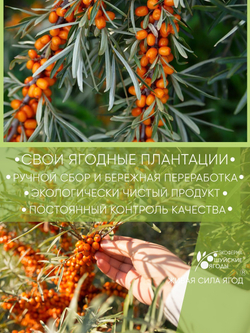 Набор 2 шт. мармелад из облепихи на агаре, без ГМО, без консервантов, ароматизаторов и красителей, Шуйские ягоды, 250г
