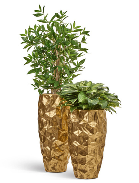 Комплект - Хоста в кашпо Treez Effectory Metal Design Crumple