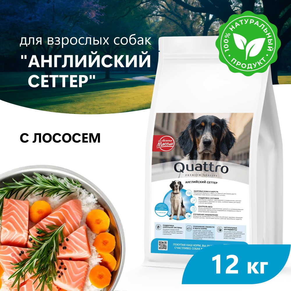 Корм сухой для взрослых собак породы Английский сеттер, премиум полнорационный комплекс, с лососем, 12 кг, QUATTRO