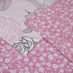 Постельное белье СайлиД BP-152 сатин