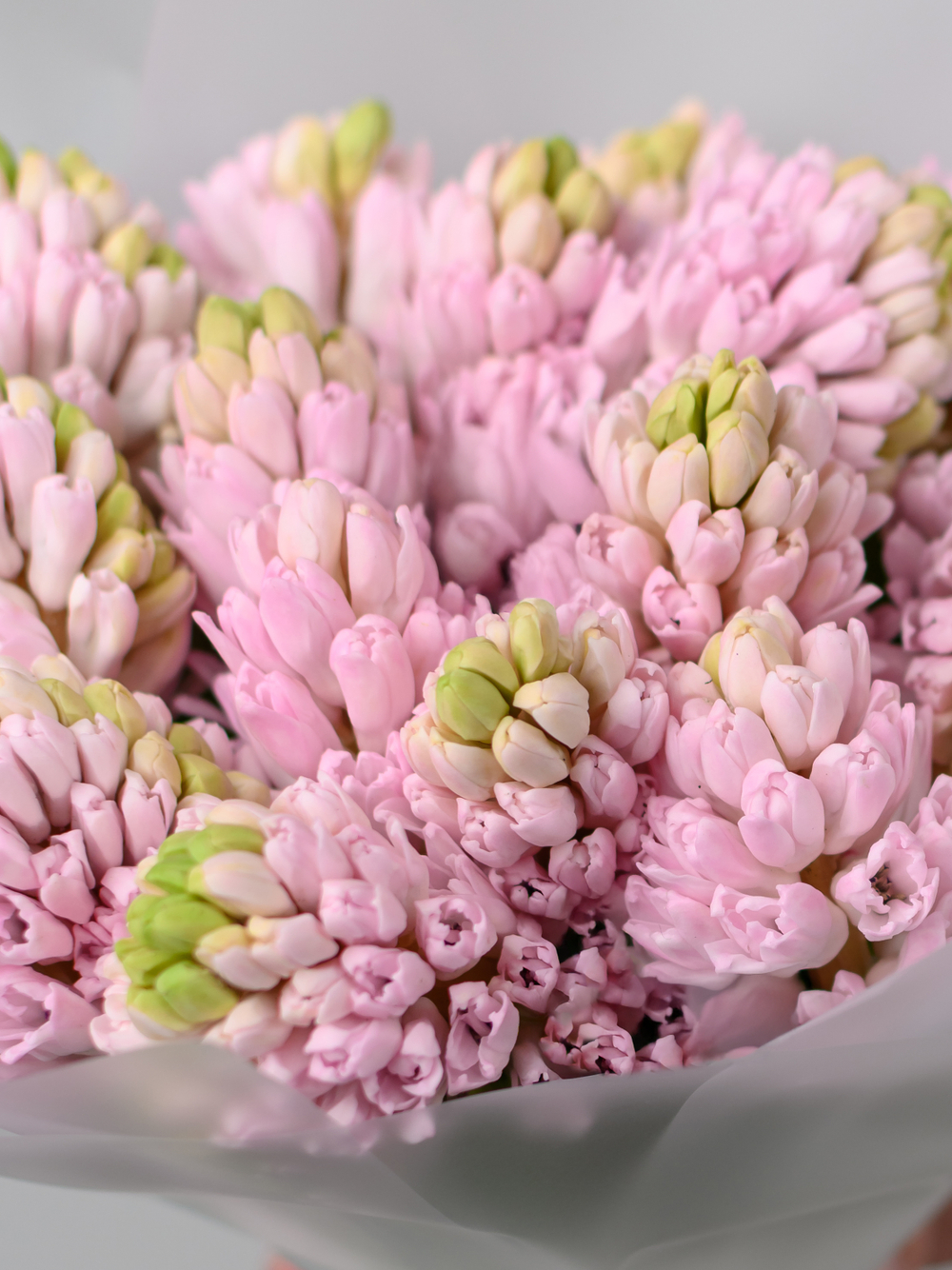 Монобукет из Гиацинтов