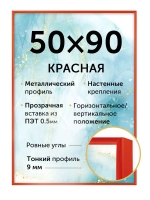Металлическая рамка 50х90 см