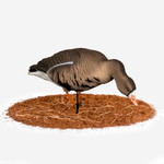 Белолобый гусь Duck Mania "ALFA"