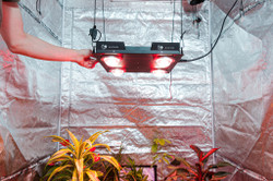 LED лампа Rootster (ex. Big Cock Design) Skeleton 3.0 Sk 400М 320W