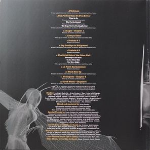Saga / Symmetry (2LP)