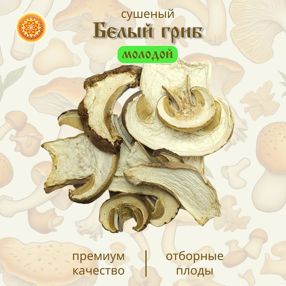 Белый гриб сушеный молодой "Крепкий".