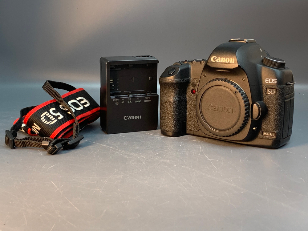 Canon 5D Mark II 208134 Кадров