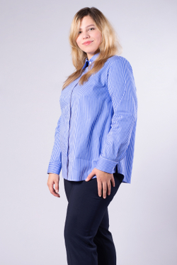 Блузка женская 3724зпа, полоска #83Пв093724зпа