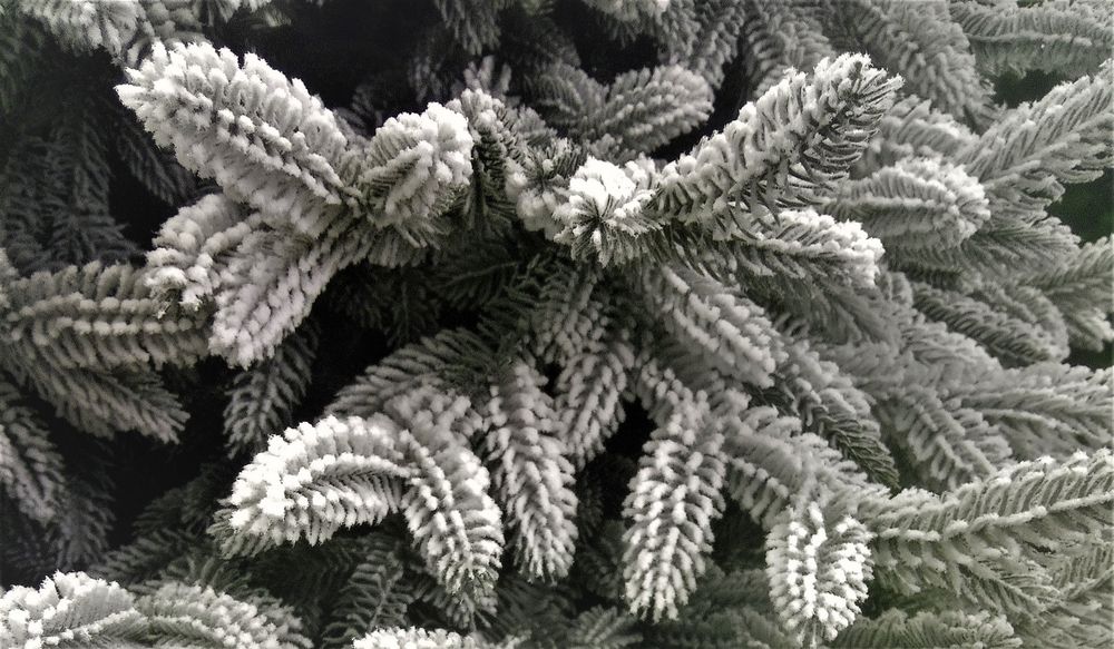 Заснеженная елка «Моника» (Литая хвоя) 180 см / 1,8 м