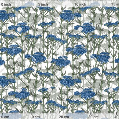 ТЫСЯЧАЛИСТНИК СИНИЙ by Capricorn 517 DPI