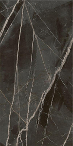 Керамогранит Italon Stellaris Absolut Black шлиф 610015000682 60х120 см