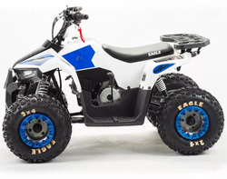 Квадроцикл MZ Eagle 110
