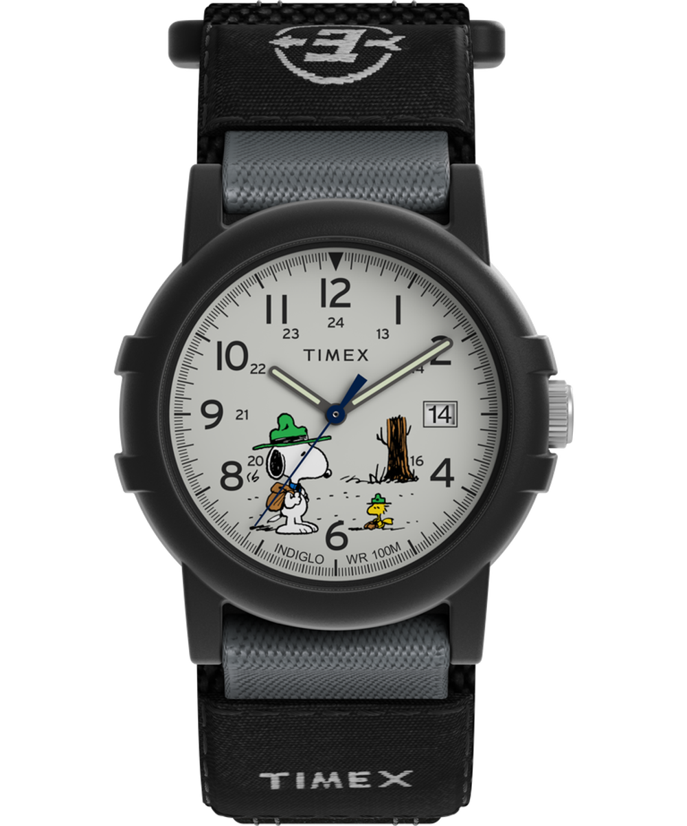 Мужские наручные часы Timex TW4B29100