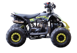 Квадроцикл Racer Raptor 110