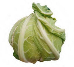 Карнак F1 семена капусты цветной (Sakata / Саката)