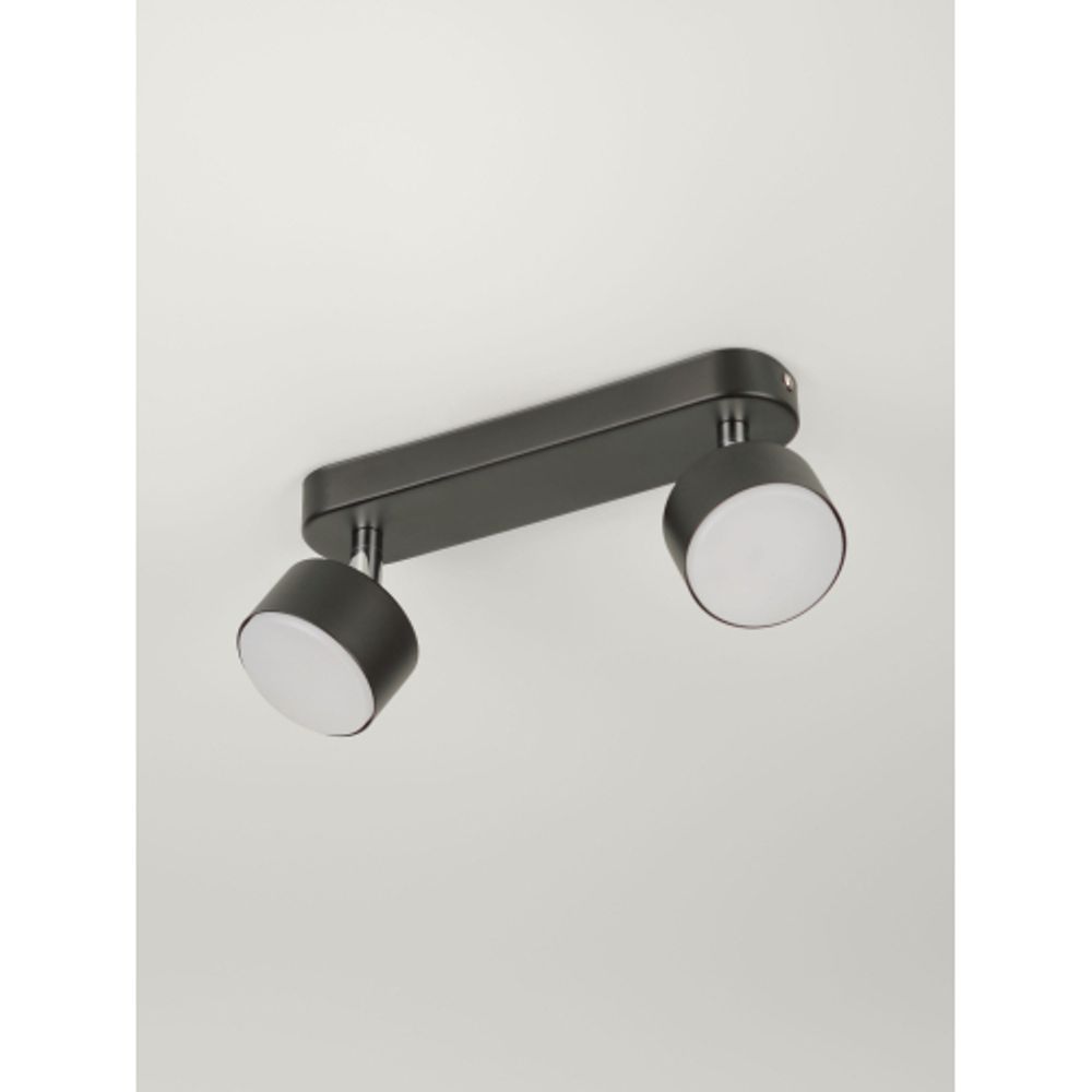 Светильник настенно-потолочный спот Rivoli Alesta 7079-702 2хGX53 15 Вт поворотный | Rivoli