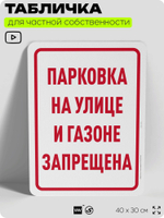 Табличка для частной территории "Парковка на улице и газоне запрещена", на дом, для участка, организаций и частных территорий, предупреждающая, 40х30 см, Silver Plane x Айдентика Технолоджи
