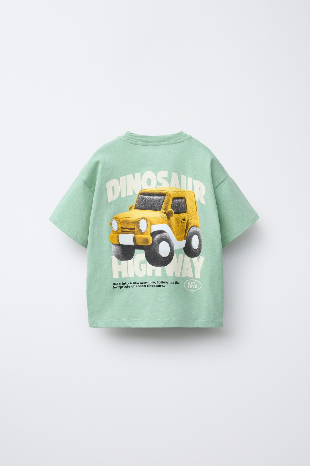 ZARA ФУТБОЛКА ИЗ ТКАНИ С ПРИНТОМ, ЗЕЛЕНЫЙ