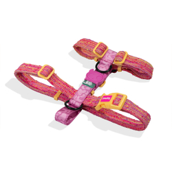 Шлейка CHOP Zee.Dog