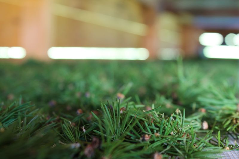 Легенды Алтая