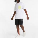 Шорты Puma Logo, 536940-01