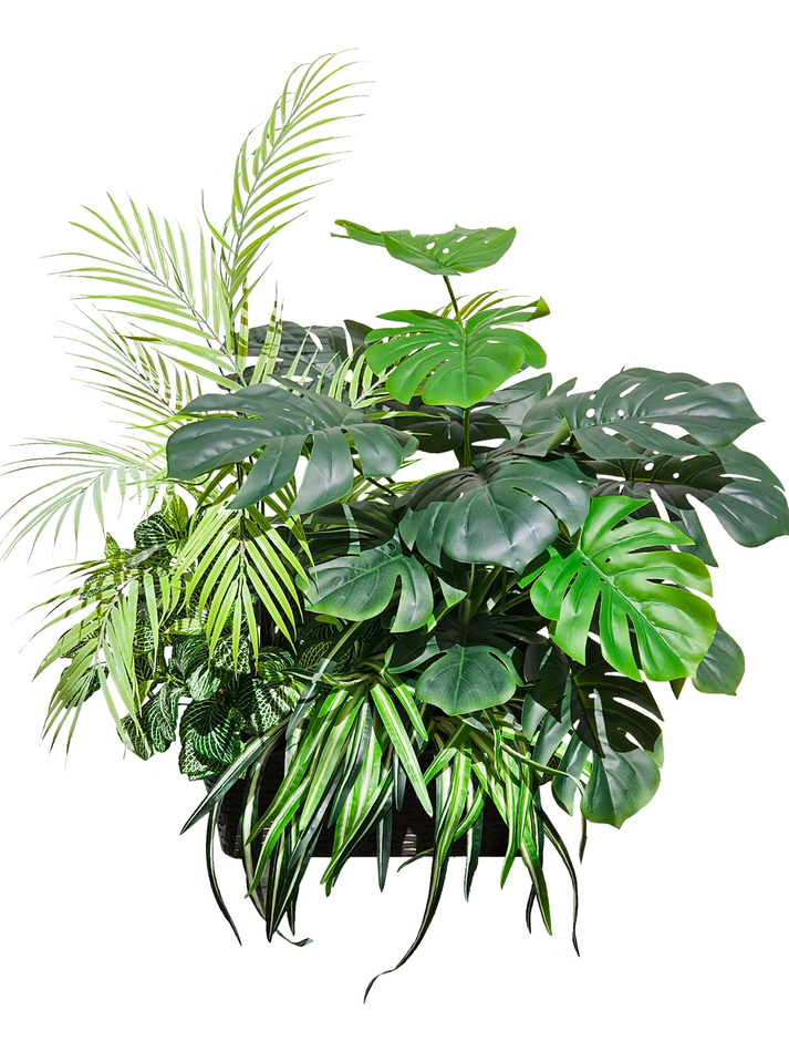 Монстера с пальмой 65см в кашпо