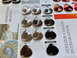 Палитра оттенков Atelier Color Integrative