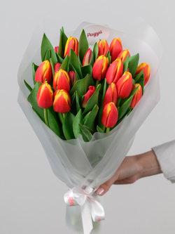 Тюльпаны микс