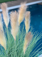 Осока сизая 9 веток 120 см