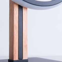 Декоративная настольная лампа Arte Lamp