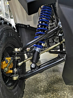 Квадроцикл PROMAX WILD 175 LUX