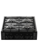 Плита газовая 6500-02 0115