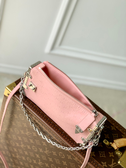 Louis Vuitton Slim Trunk