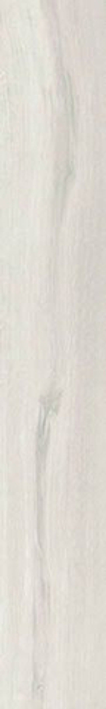 Керамогранит FOREST BLANCO