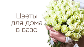 Какие цветы долго стоят в вазе?