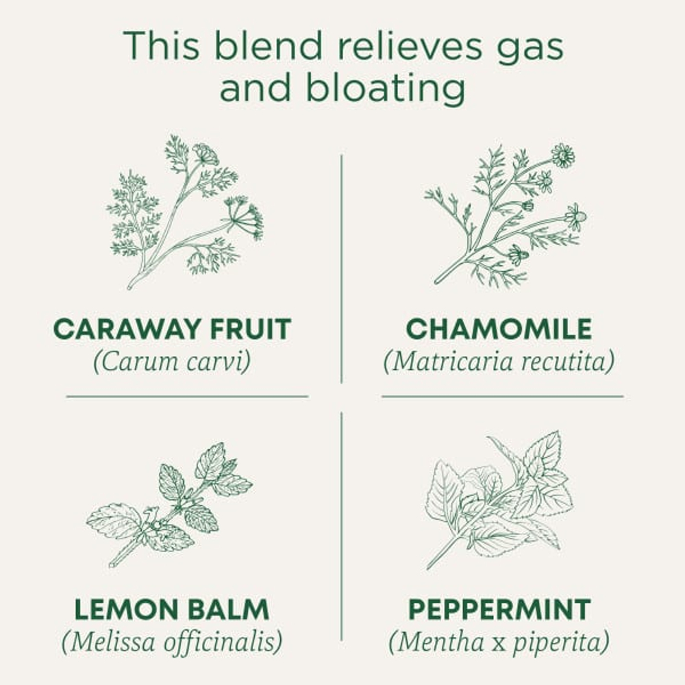 Traditional Medicinals, Organic Gas Relief™, ромашка и мята, без кофеина, 16 упакованных чайных пакетиков, 24 г (0,85 унции)
