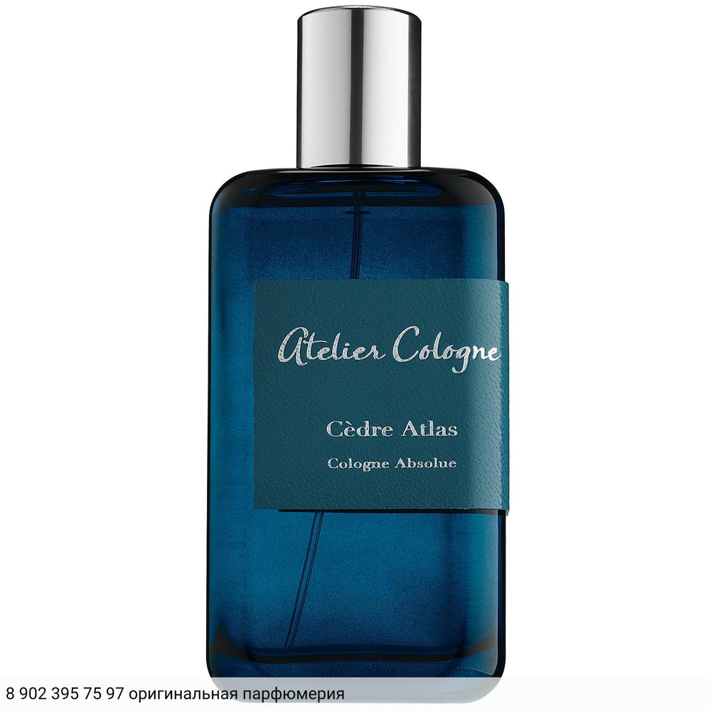 Cedre Atlas
