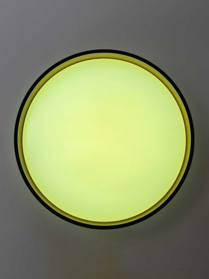 Светильник потолочный Citilux ENZO CL753451G