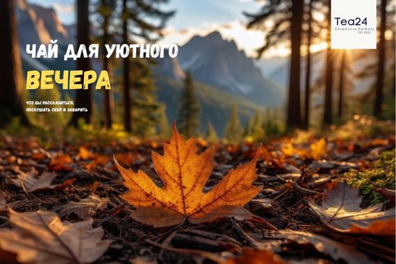 Набор чая &quot;Чай для уютного вечера&quot; (Расслабляющие чаи)