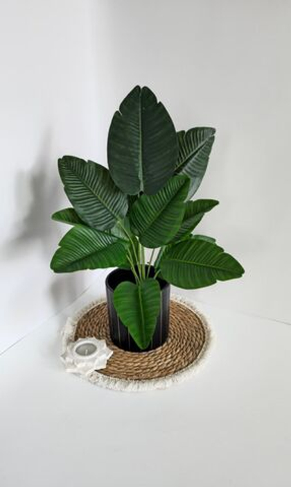 Куст банановой пальмы / Арт 6094