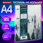 Тетрадь на кольцах БОЛЬШАЯ А4 (240х310 мм) 120 л. под кожу BRAUBERG VISTA "Туман" (2 штуки в упаковке)