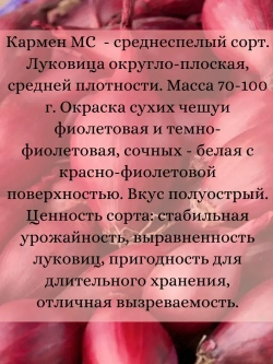 Семена Лук набор 3 шт по 0.5гр (К,К,Ш)