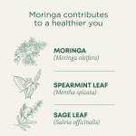 Traditional Medicinals, органическая моринга с перечной мятой и шалфеем, без кофеина, 16 чайных пакетиков, 24 г (0,85 унции)