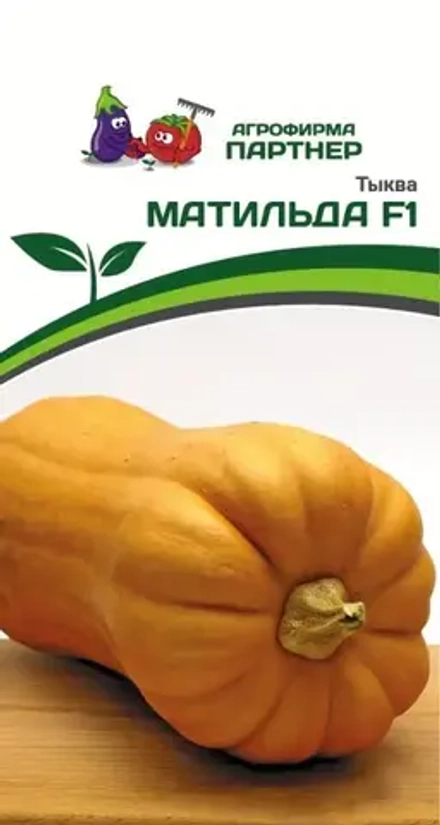 Тыква Матильда