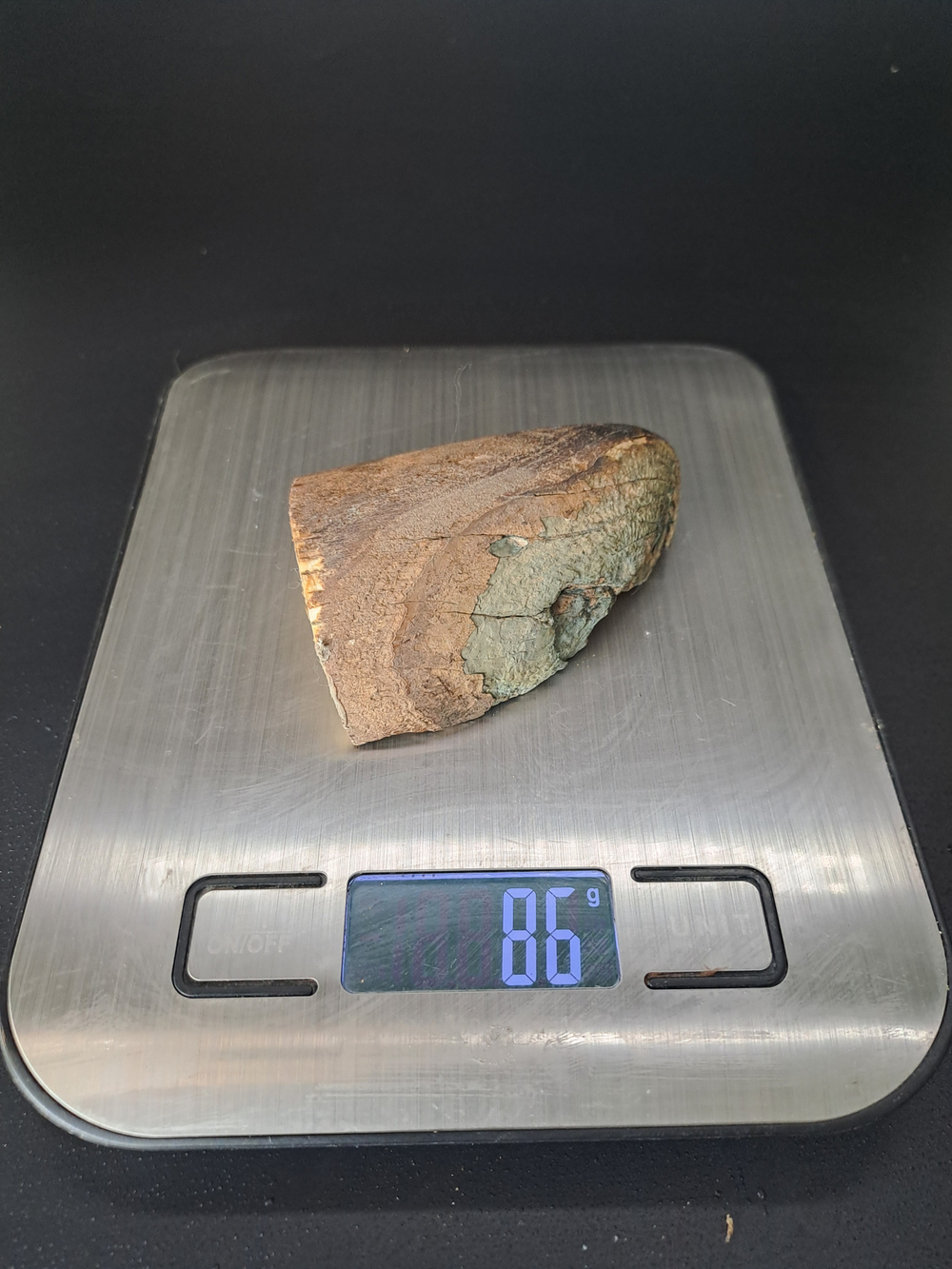 Бивень мамонта для коллекции