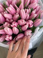 Букет из 51 нежно-розового тюльпана - нет в наличии