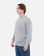 Купить Толстовка Anteater Crewneck BigText серая Толстовка Anteater Crewneck BigText серая