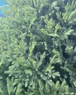 Большая елка «Финская» (Литая+пвх) от 3 до 10 м